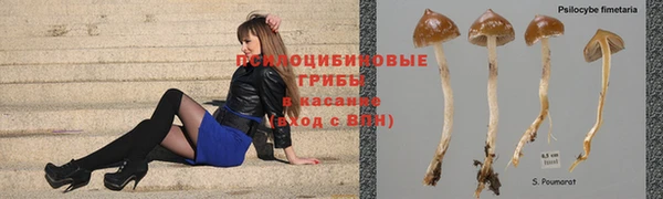 дистиллят марихуана Гусев