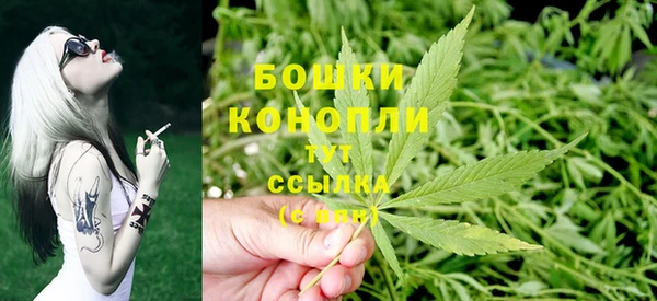 прущие крисы Горняк