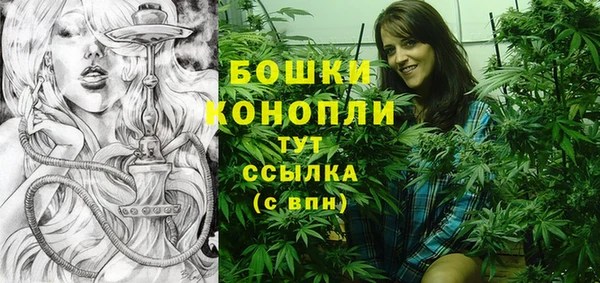 ГАЛЛЮЦИНОГЕННЫЕ ГРИБЫ Гусь-Хрустальный