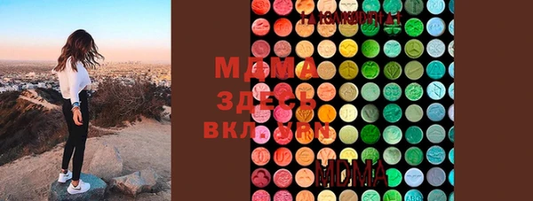 ГАЛЛЮЦИНОГЕННЫЕ ГРИБЫ Гусь-Хрустальный