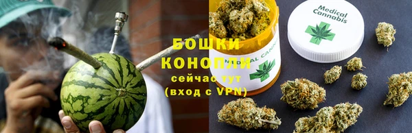 ГАЛЛЮЦИНОГЕННЫЕ ГРИБЫ Гусь-Хрустальный