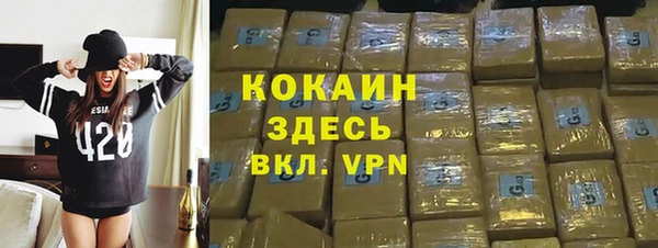 ГАЛЛЮЦИНОГЕННЫЕ ГРИБЫ Гусь-Хрустальный